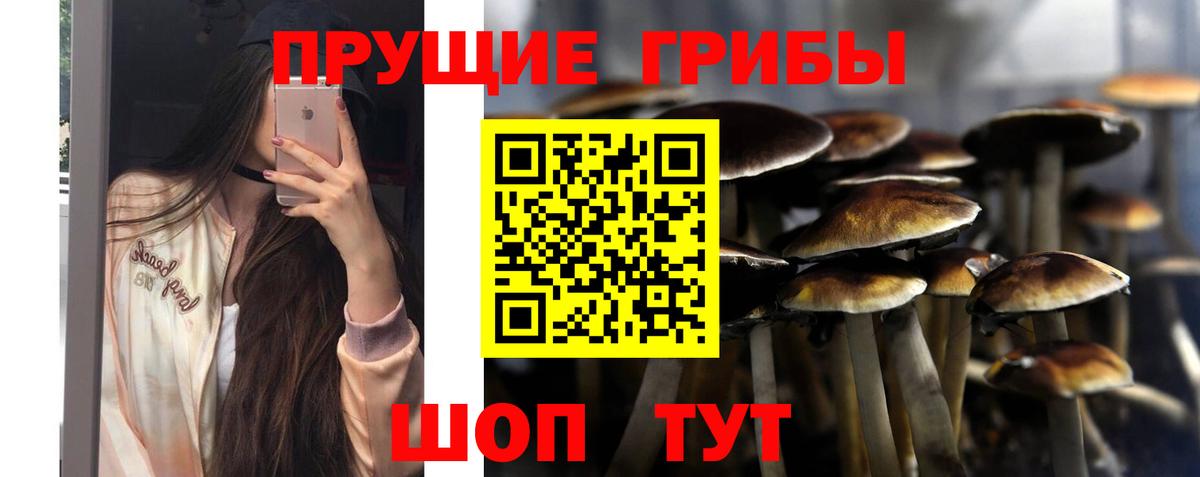 Псилоцибиновые грибы GOLDEN TEACHER Волжск