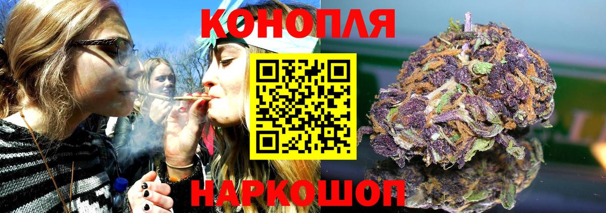 Канабис сатива Волжск